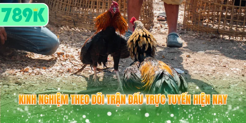 Kinh nghiệm theo dõi trận đấu trực tuyến hiện nay