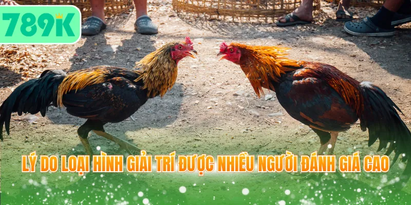 Lý do loại hình giải trí được nhiều người đánh giá cao